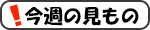 今週の見もの